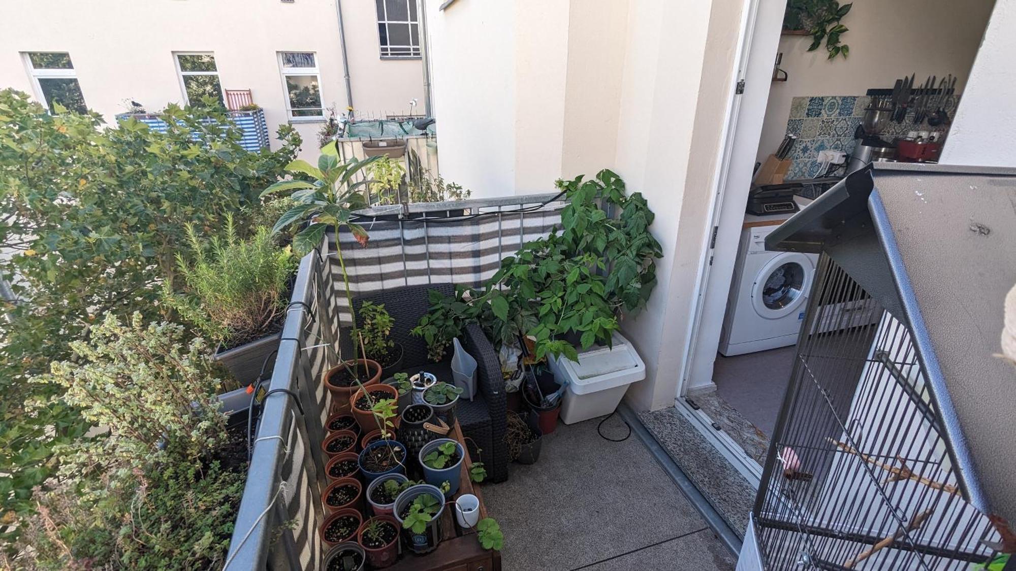 Appartamento Cosy Flat In Berlin'S Trendy Area Esterno foto